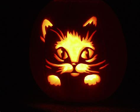 Have A Happy Haunted Halloween Cat Pumpkin Carving Pumpkin Carving