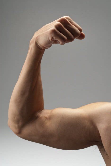 Strong Arm Muscles Free Image Download