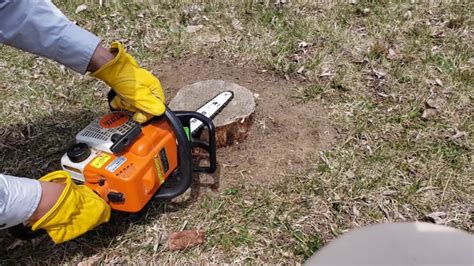 How To Remove A Stump With A Chainsaw A Pro Guide