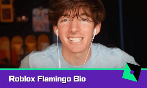 Roblox Flamingo Bio Age Birthplace Nationality More Explained The