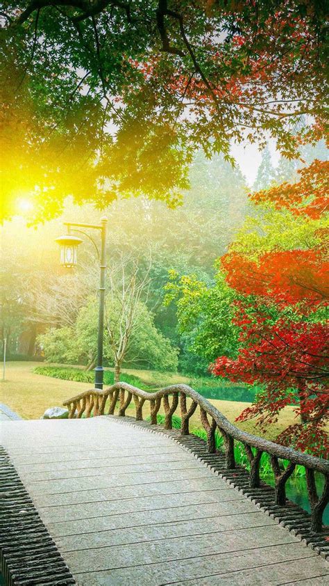 Hd Romantic Afternoon Park Background Romantic