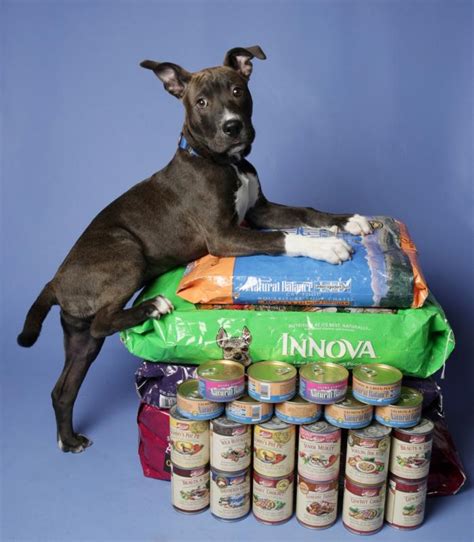We transform the lives of cats and dogs in need. Homeward Pet Adoption Center Reviews and Ratings ...