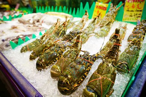 +60 4 226 0064 website: Wholesale Lobster Meat | Supplier Fresh Water Lobster ...
