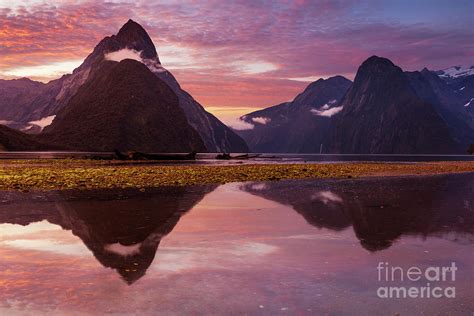 Milford Sound Sunset New Zealand Photograph By Neale And Judith Clark