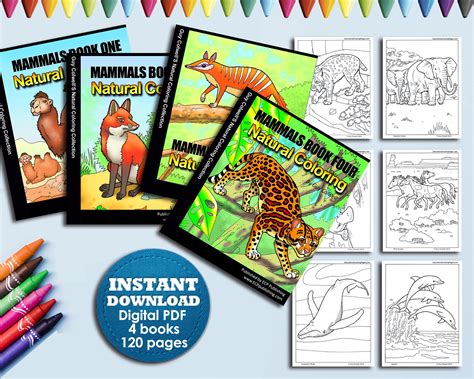 17 Animals Coloring Books For Kids Instant Download Coloring Etsy