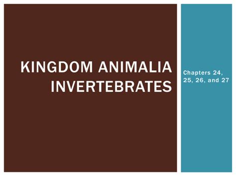 Kingdom Animalia Invertebrates
