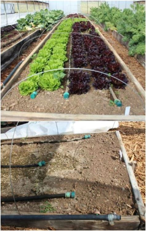 Not only do homemade hydroponic systems offer monetary savings, they also offer a grower the ability to further customize his or her system to. 16 Cheap And Easy DIY Irrigation Systems For A Self Watering Garden - DIY & Crafts