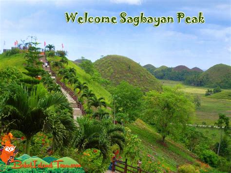 Sagbayan Peak Bohol Island Tour Wow Bohol Package Tours And Travel