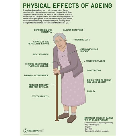 Physical Effects Of Ageing Poster Elder Care Poster