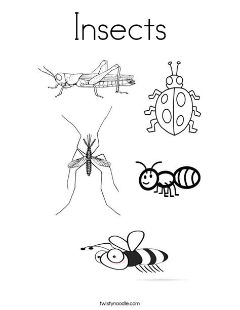 Insects Coloring Pages For Preschoolers Super Kins Author