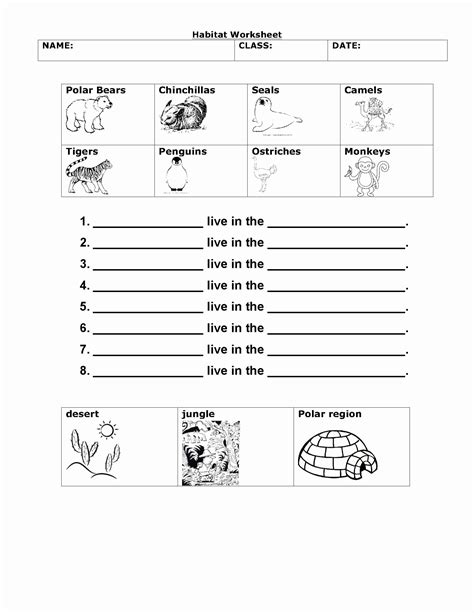 Science Worksheet 1st Grade New Free Printable 1st Grade Science