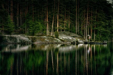 Dark Forest Lake In Finland Photograph By Sandra Rugina Fine Art America