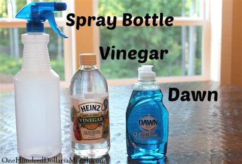 Diy Daily Shower Spray One Hundred Dollars A Month