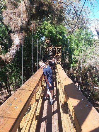The entire trail is less than an hour to walk. Myakka Canopy Walkway (Sarasota) - 2019 All You Need to ...
