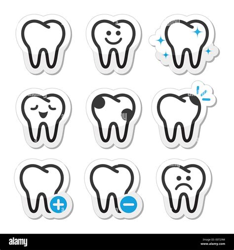 Tooth Teeth Vector Icons Set Stock Vector Image And Art Alamy