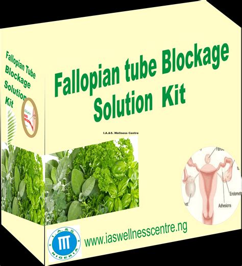 Natural Treatment For Fallopian Tube Blockage Without Surgery In