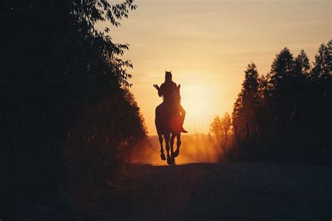Horse Rider On Road In Countryside At Sunset · Free Stock Photo