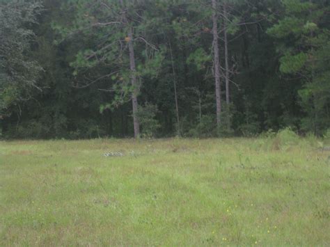 84.5 kanal prime location agriculture land for sale. myLandBaron.com | Land For Sale Ocala, Florida 5.7 acres ...
