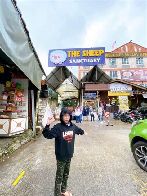 Tempat menarik di johor : THE SHEEP SANCTUARY CAMERON HIGHLAND JADI PILIHAN