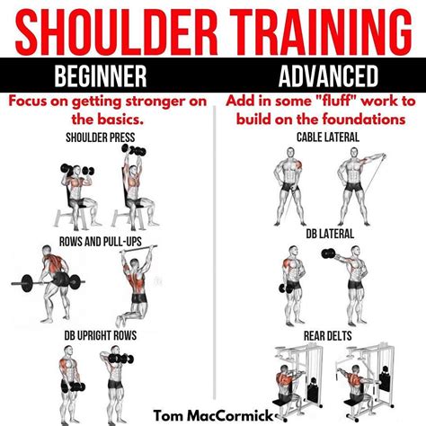 shoulder training beginner v advanced ⠀as a beginner your focus should be on mastering the