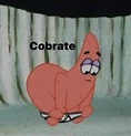 Cobrate | Cobrate / Patricio Cobrate | Know Your Meme