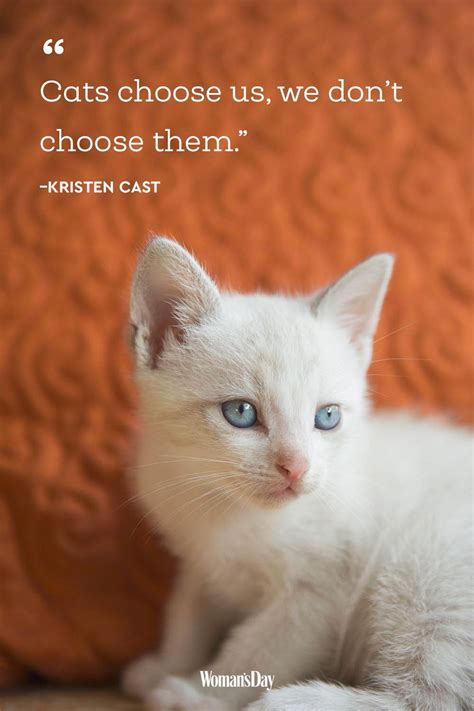 38 Adorable Cat Quotes That Will Melt Your Heart Cat Quotes Cats