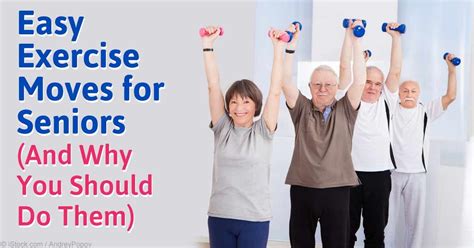 Fitness For Seniors Exercises