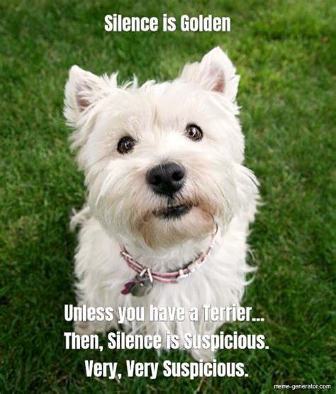 Silence Is Golden Unless You Have A Terrier Meme Generator
