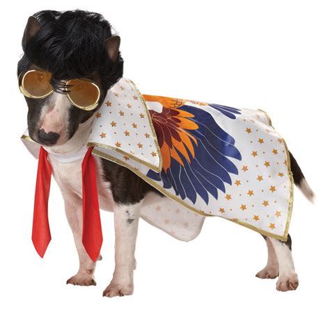 Pup A Razzis Pop Star Dog Fancy Dress Costumes Are Totally Inspired