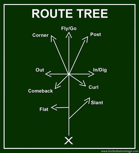 Football Passing Route Tree