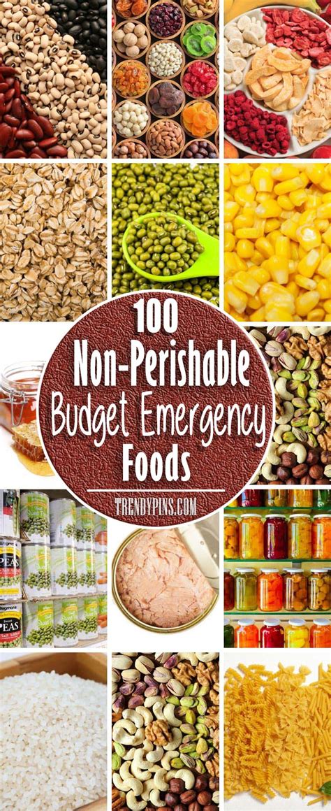 Check the inventory of your pantry and be sure to stock up the ones missing. 100 Non-Perishable Budget Emergency Foods - Trendy Pins