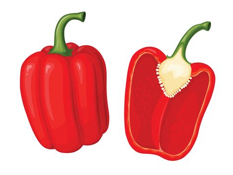 Sweet Red Bell Pepper Illustration Of Vegetable In Cartoon Simple Flat