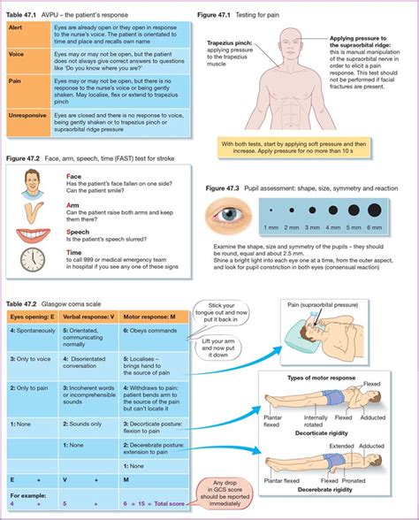 Neurological Assessment Nurse Key