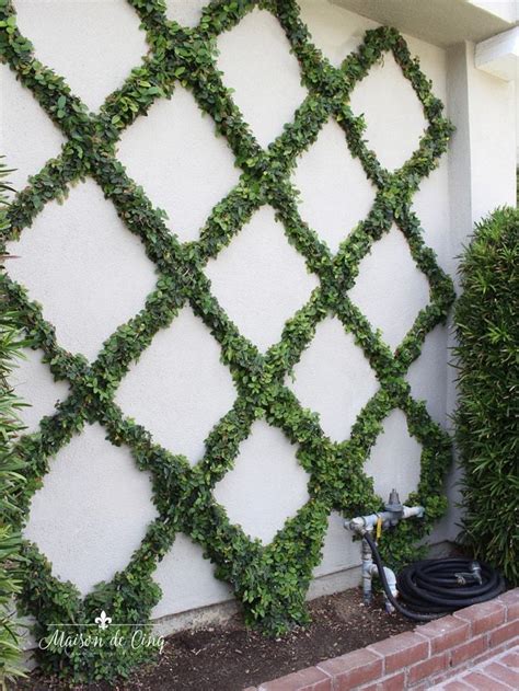 How To Make A Diamond Pattern Espalier Creating A Belgian Fence