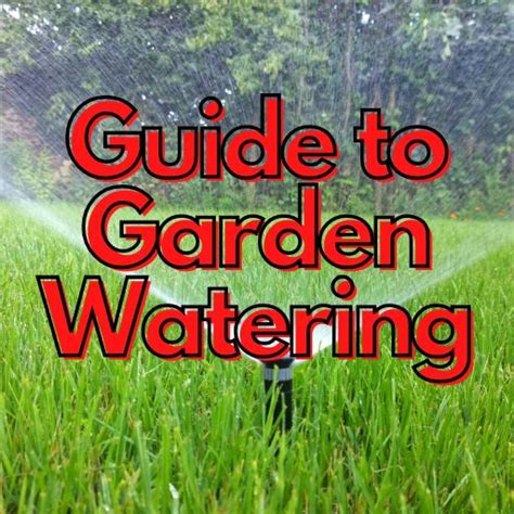 The Ultimate Guide To Best Garden Watering 2023