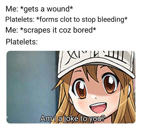 Dont Disappoint Them Little Platelets Am I A Joke To You Know