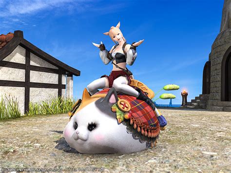 New Optional Items Available Final Fantasy Xiv The Lodestone