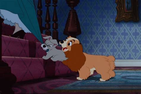 Lady And The Tramp Disneys Lady And The Tramp Image 9961684 Fanpop