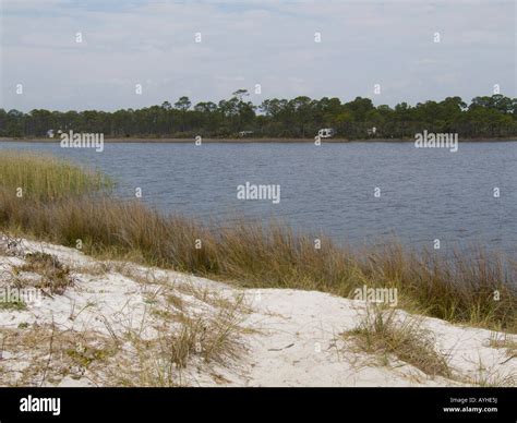 Grayton Beach State Park Florida Stock Photo Alamy