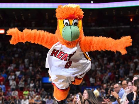 Ranking Every Nba Mascot From Worst To Best
