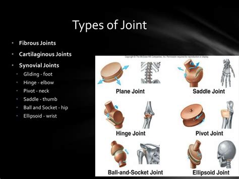 Ppt Joint Mechanics Injuries And Resistance Training Powerpoint