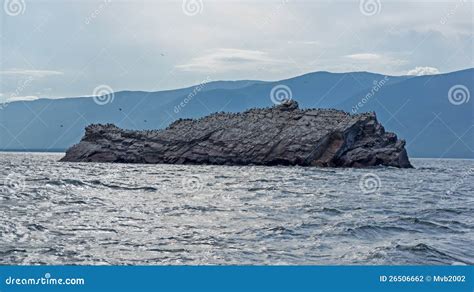 No Name Island Lake Baykal Stock Photo Image Of Beautiful Natural