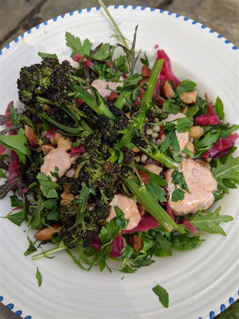 Moroccan Broccoli And Buckwheat Salad The Body Retreat