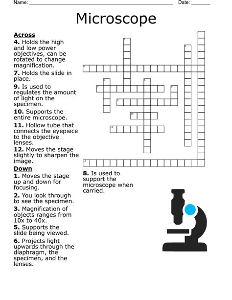 Microscope Crossword Puzzle Answer Key