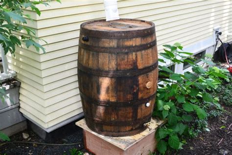 Best Rain Barrels For Harvesting Rainwater And How To Use Guide