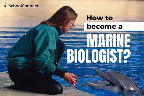 Marine Biologist Learn How To Become The Best In This Field Top