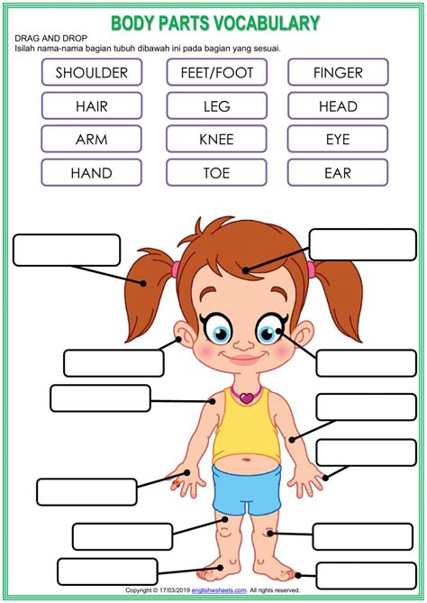 This is a very simple body worksheet that preschool kids can do. Parts of Our Body worksheet