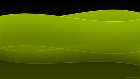 45 Hd Green Wallpapersbackgrounds For Free Download