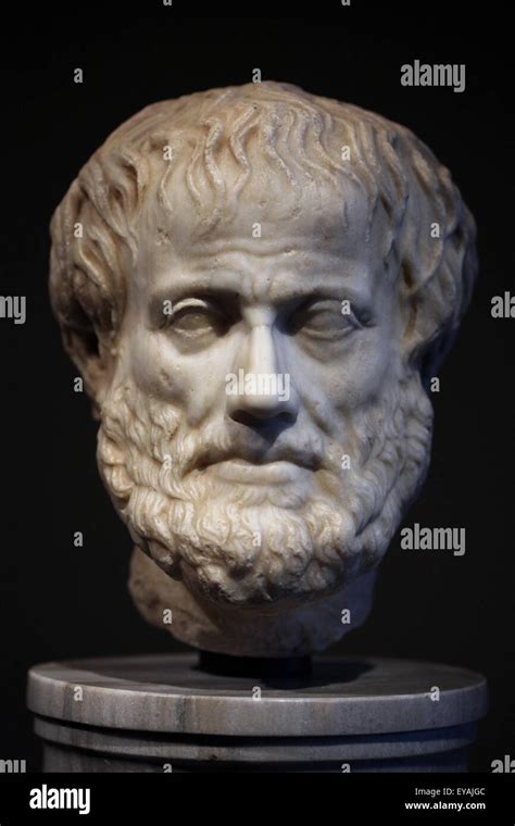 Philosoph Aristoteles Porträt Kopf Fotos Und Bildmaterial In Hoher