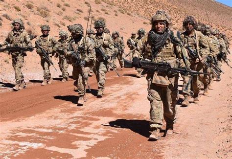 Grandes Ejercicios Militares En Argentina Con Galería Fotográfica Noticia